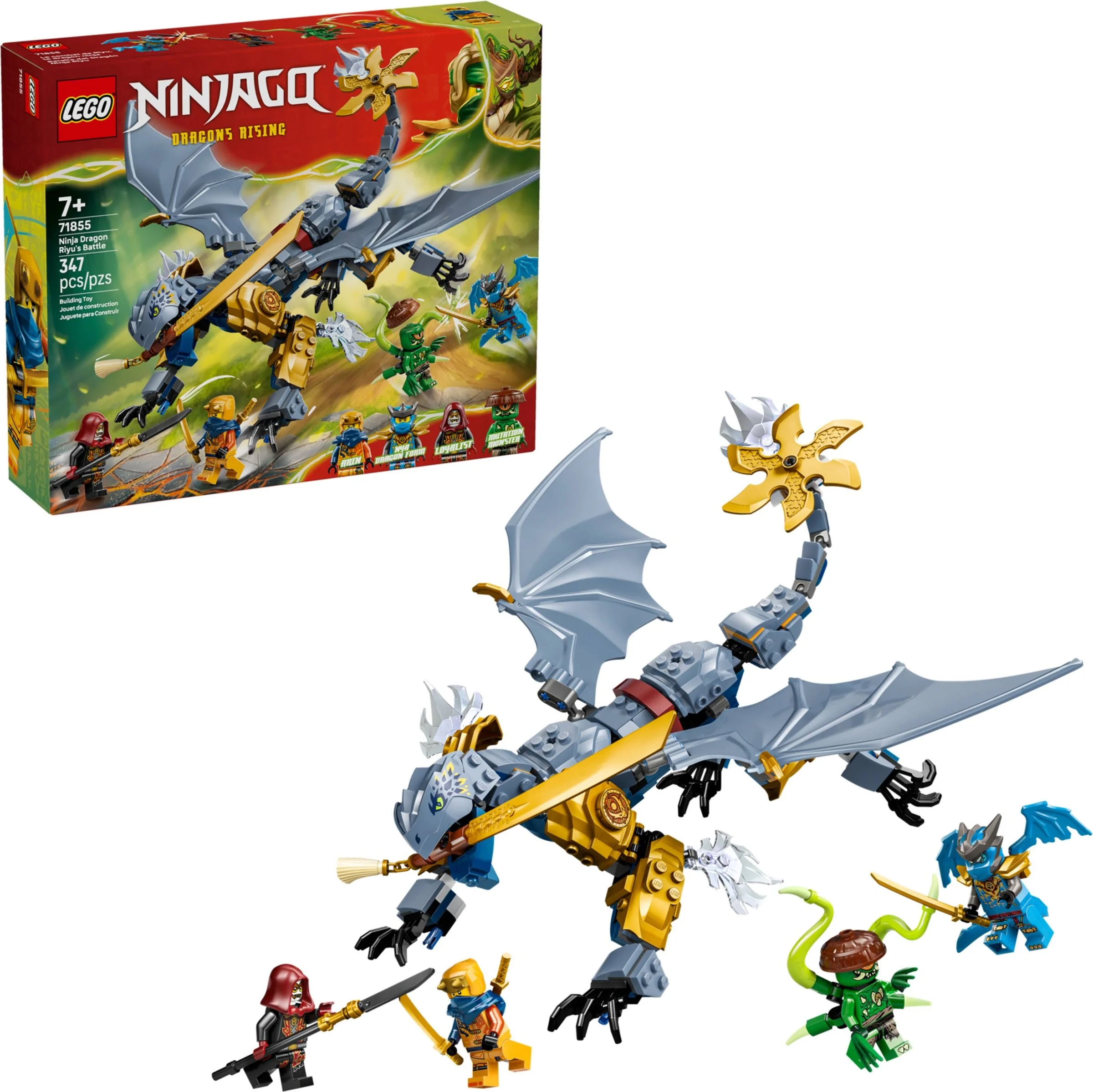 Ninja Dragon Riyu's Battle - Thumbnail 8