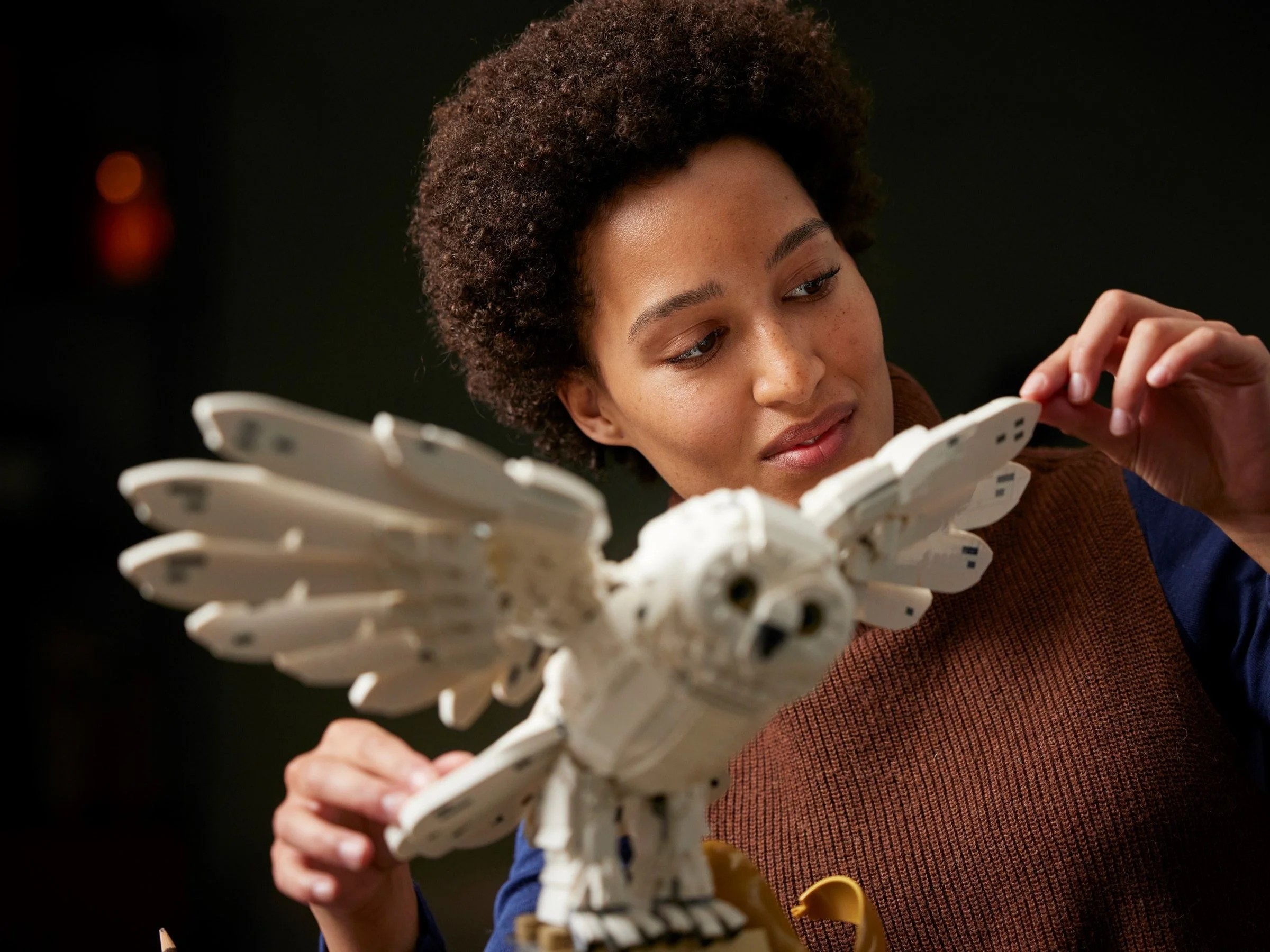 Hogwarts™ Ikonen – Sammler-Edition - Thumbnail 6