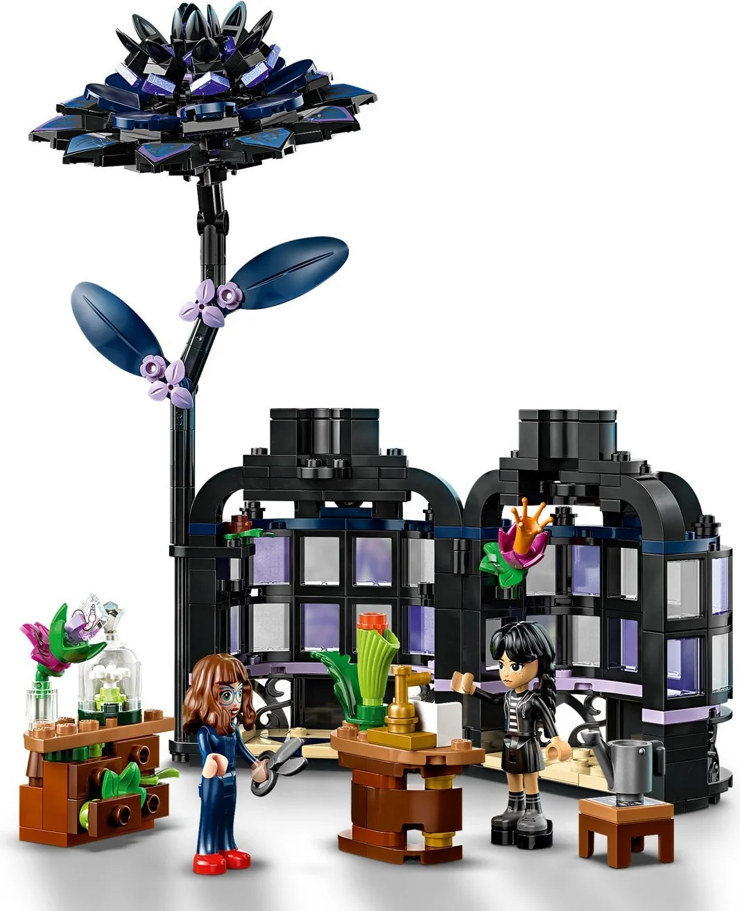 Schwarze Dahlie - Thumbnail 2