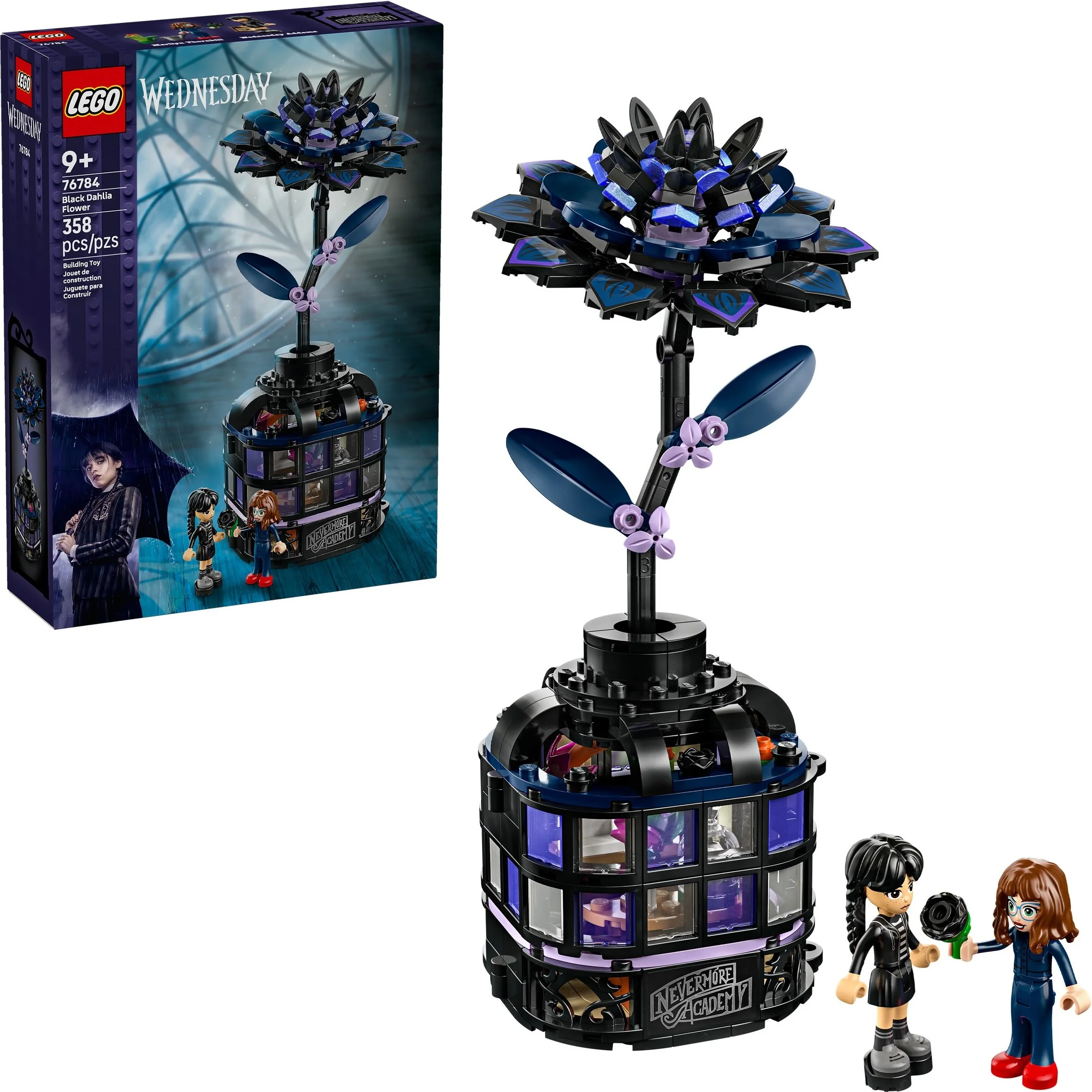 Schwarze Dahlie - Thumbnail 6