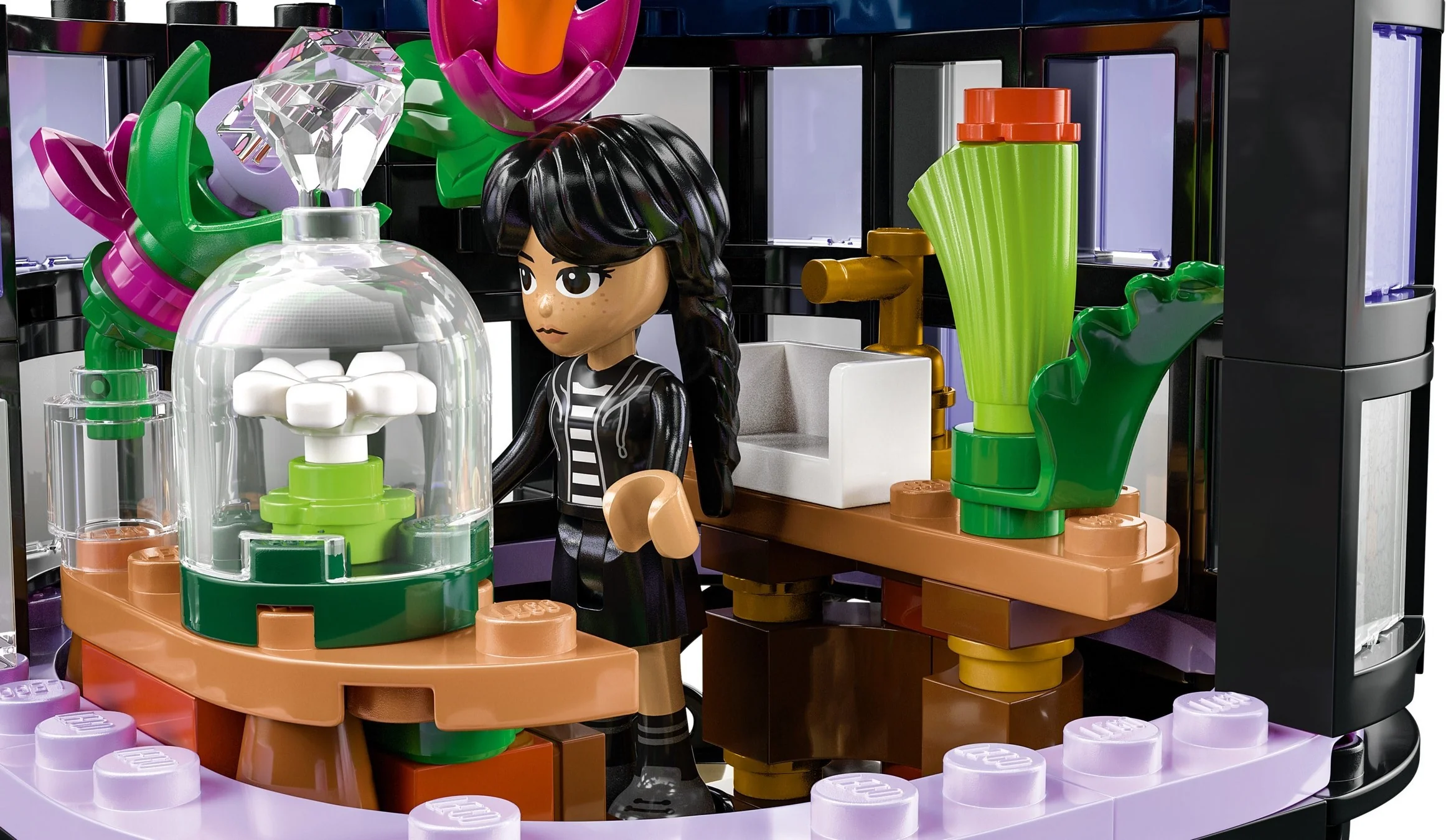 Schwarze Dahlie - Thumbnail 7