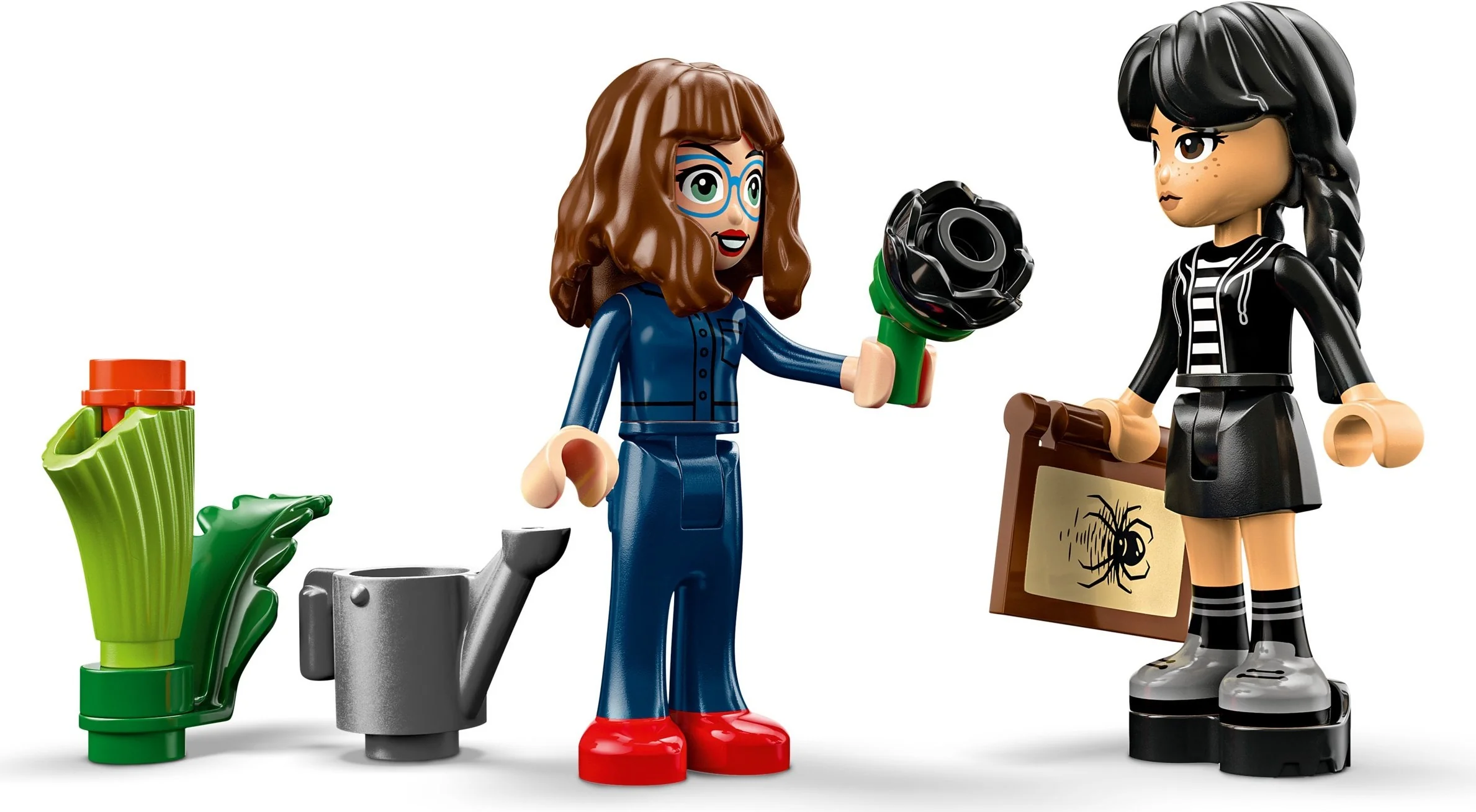 Schwarze Dahlie - Thumbnail 8