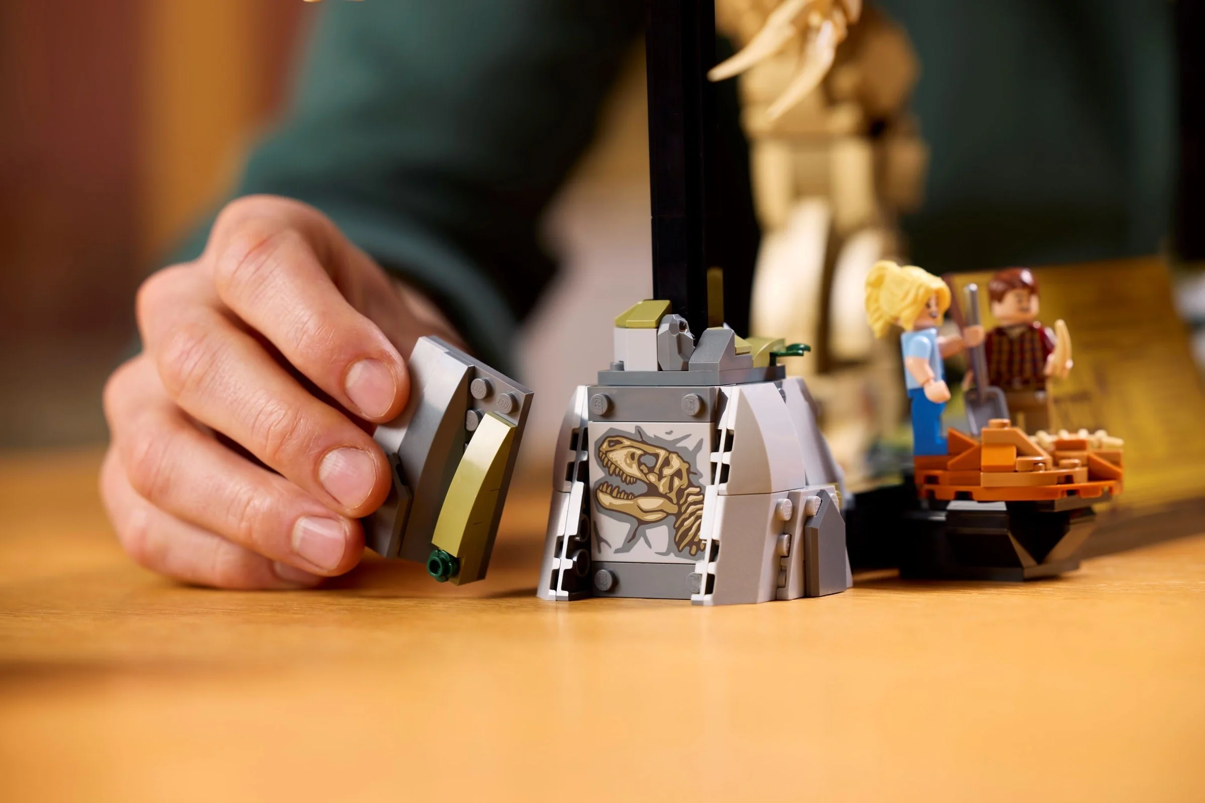 Dinosaurier-Fossilien: Tyrannosaurus rex - Thumbnail 12