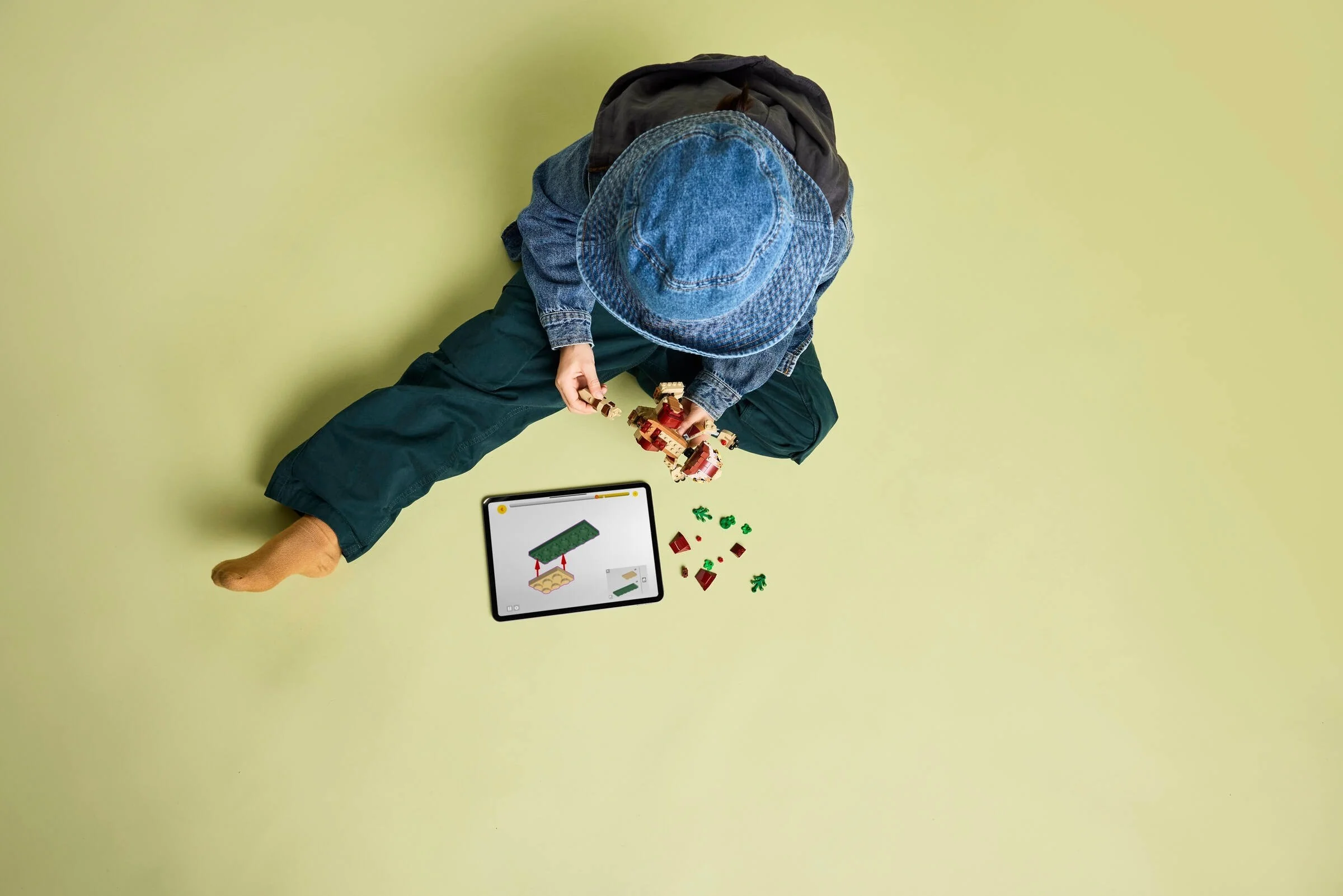 Babydinosaurier Dolores: Aquilops - Thumbnail 5