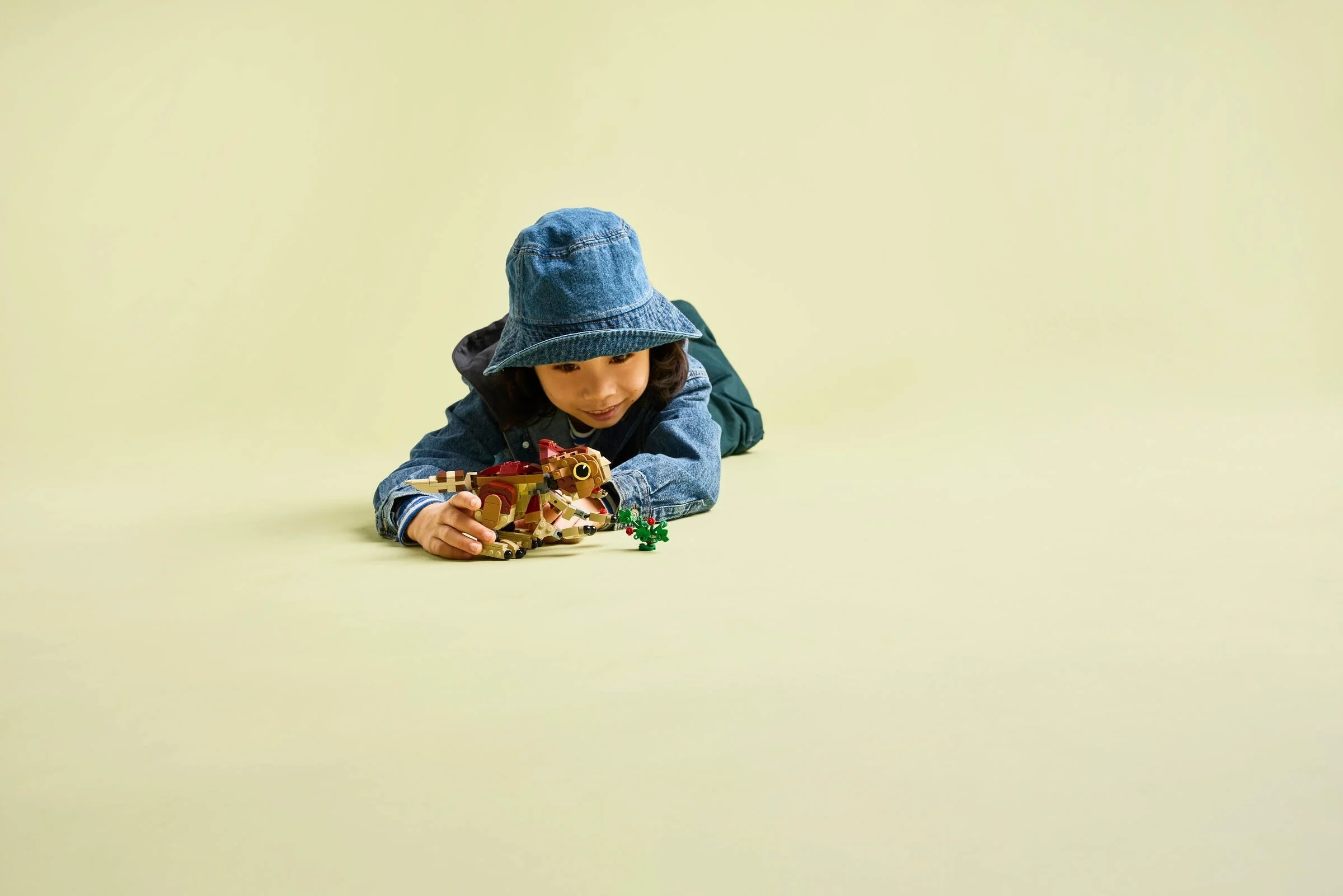 Babydinosaurier Dolores: Aquilops - Thumbnail 7