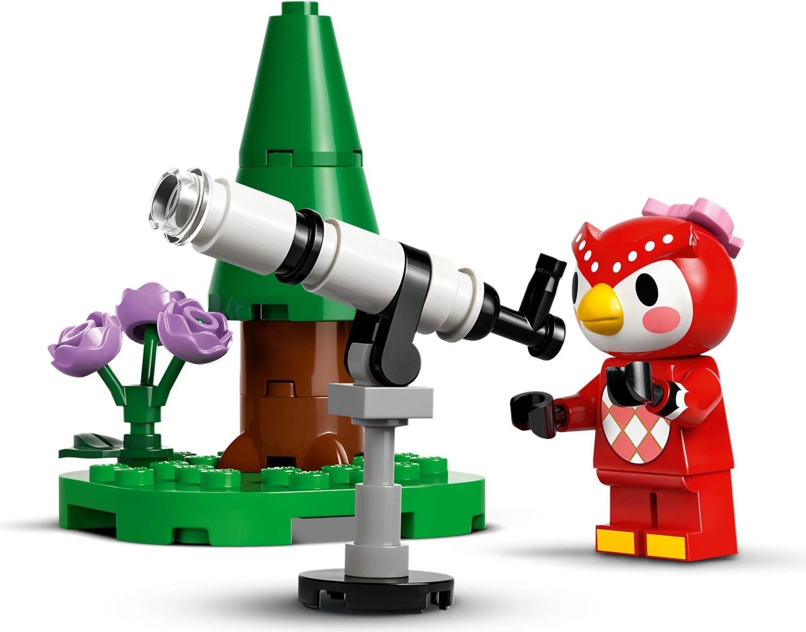 Sternbeobachtung mit Eufemia - Thumbnail 10